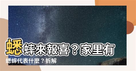 蟋蟀風水|【蟋蟀代表什麼】蟋蟀突然來報喜？深入解析蟋蟀代表什麼、進家。